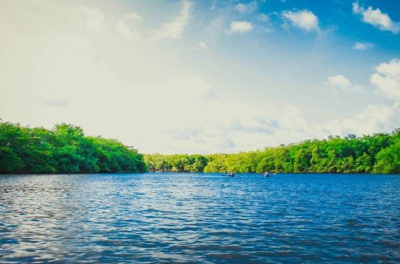 В Лондон организират среща на върха за иновации в сектор води В Лондон организират среща на върха за иновации в сектор води
